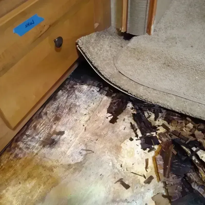 Best Wood Floor Water Damage Service in Uhrichsville, OH